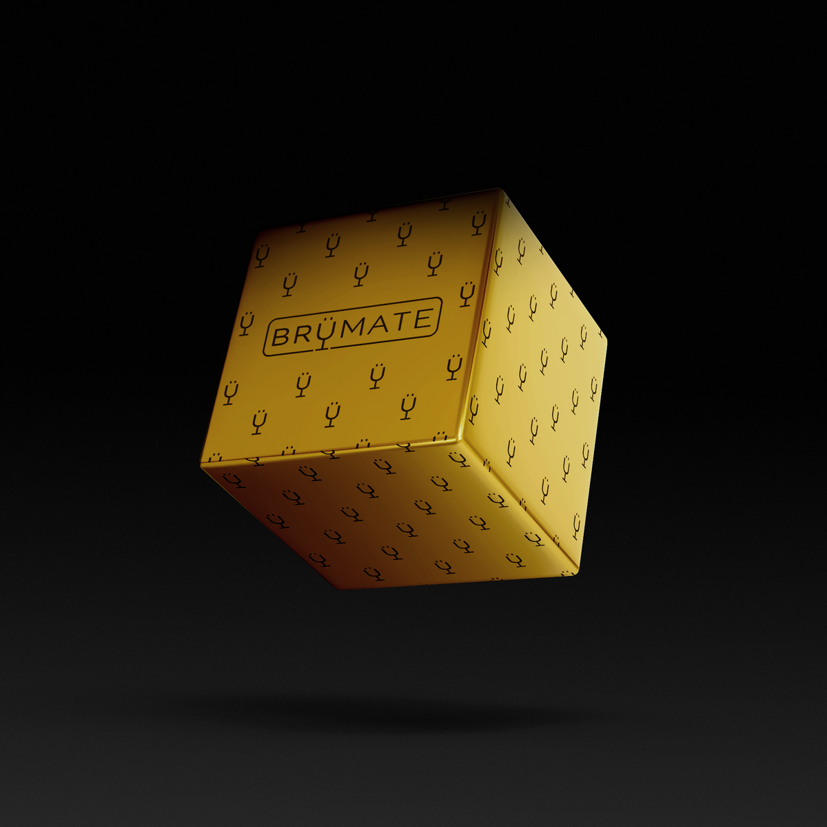 premium-mystery-item-39-70-value-t2 IMG-1548.png